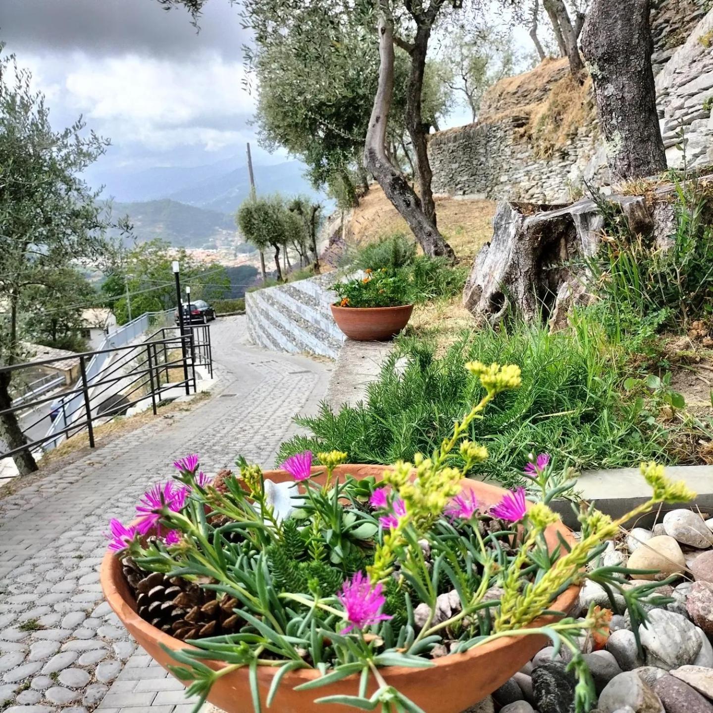 Ca' Da Tollo Otel Cogorno Dış mekan fotoğraf