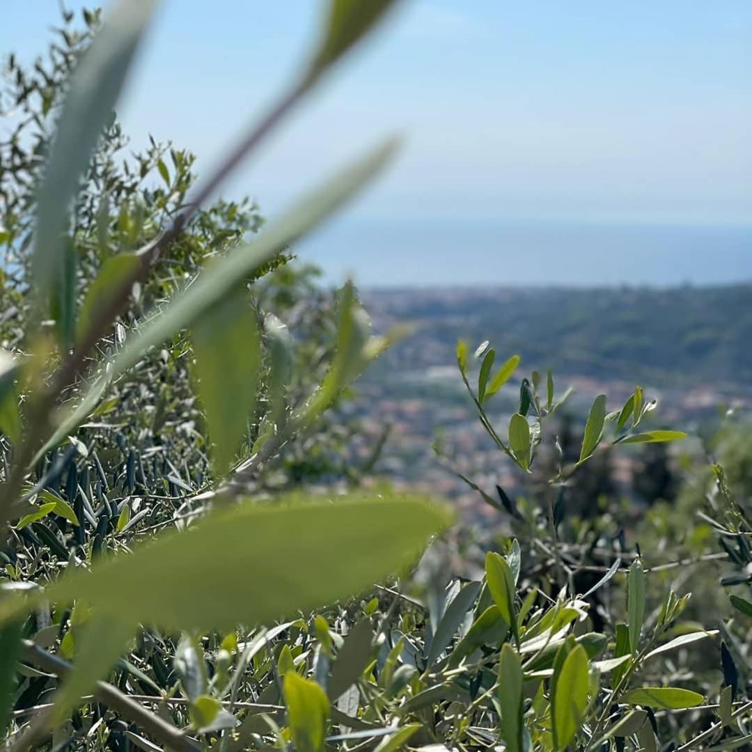 Ca' Da Tollo Otel Cogorno Dış mekan fotoğraf